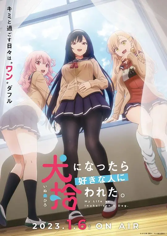 《生而为狗我很幸福》：笑着流泪的治愈之旅，人与动物的温情羁绊