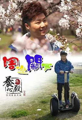 《周游关西》：一场美食与美景的治愈之旅，告别焦虑，拥抱生活的小确幸！