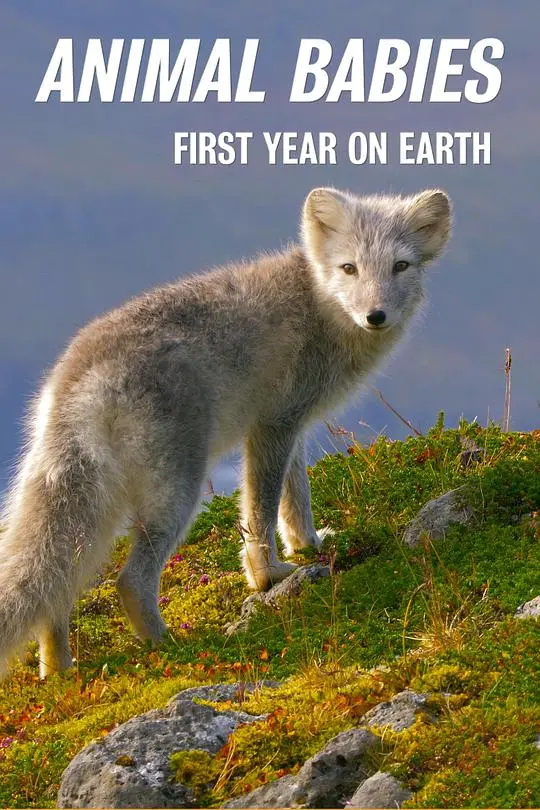 《萌宝出生第一年》：新手爸妈必看！一部充满爱与泪水的成长纪录片