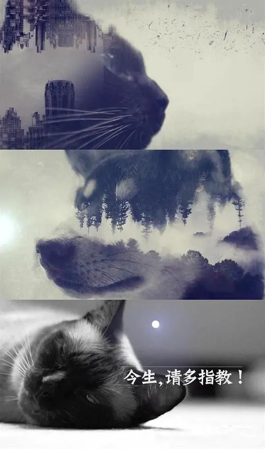 《今生，请多指教第二季》：爱意延续，心动不止，暖暖情愫再谱华章！